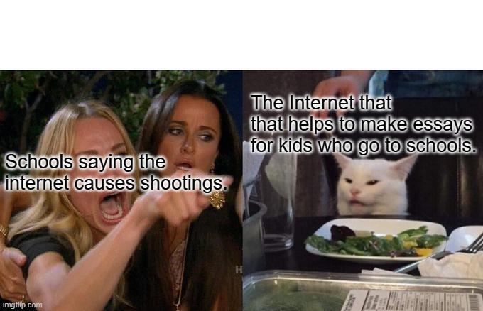 Internet yeee | The Internet that that helps to make essays for kids who go to schools. Schools saying the internet causes shootings. | image tagged in memes,woman yelling at cat | made w/ Imgflip meme maker