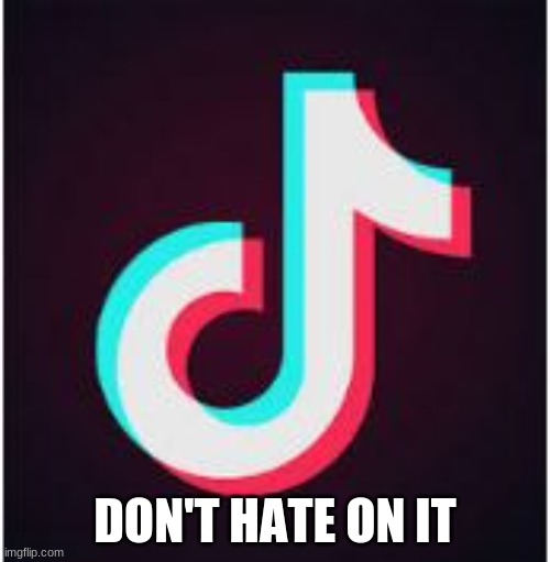 Stop hating this app. And stop bullying other people that use this app. | DON'T HATE ON IT | image tagged in tik tok,is good,stop bullying,nobody cares,get over it | made w/ Imgflip meme maker