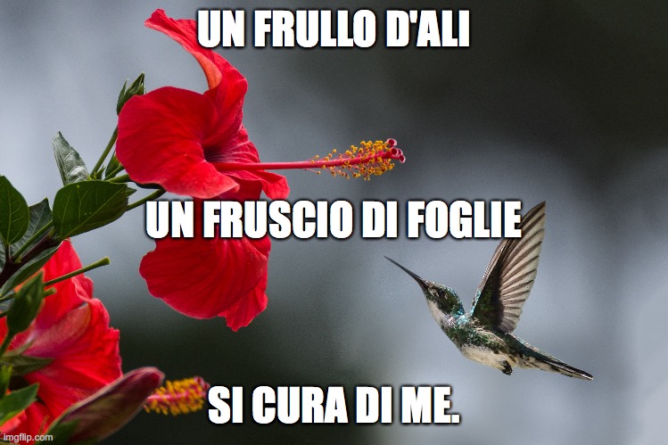 UN FRULLO D'ALI; UN FRUSCIO DI FOGLIE; SI CURA DI ME. | made w/ Imgflip meme maker