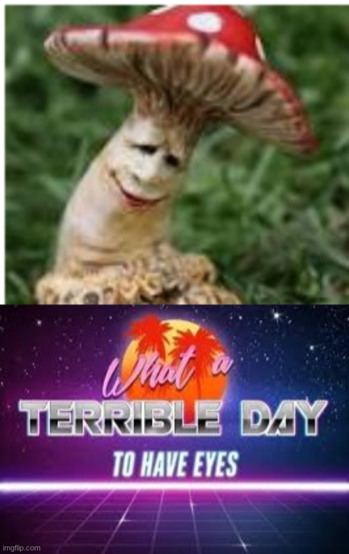 ... | image tagged in what a terrible day to have eyes,mushrooms,happy | made w/ Imgflip meme maker