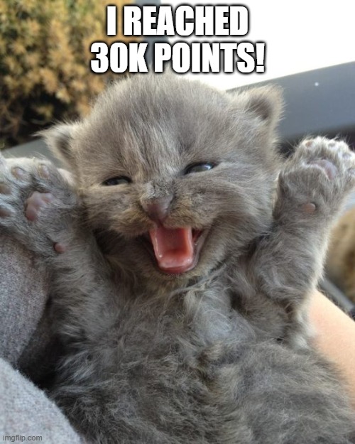 Woohoo! | I REACHED 30K POINTS! | image tagged in yay kitty | made w/ Imgflip meme maker