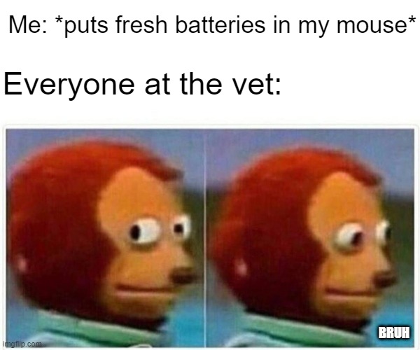 Monkey Puppet | Me: *puts fresh batteries in my mouse*; Everyone at the vet:; BRUH | image tagged in memes,monkey puppet,mouse,vet,peta,gaming | made w/ Imgflip meme maker