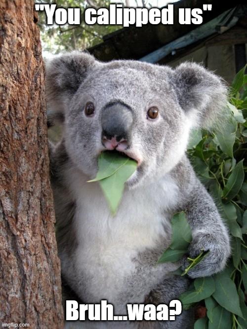 You what? | "You calipped us"; Bruh...waa? | image tagged in eucalyptus,play on words,koala,suprise,wonder | made w/ Imgflip meme maker
