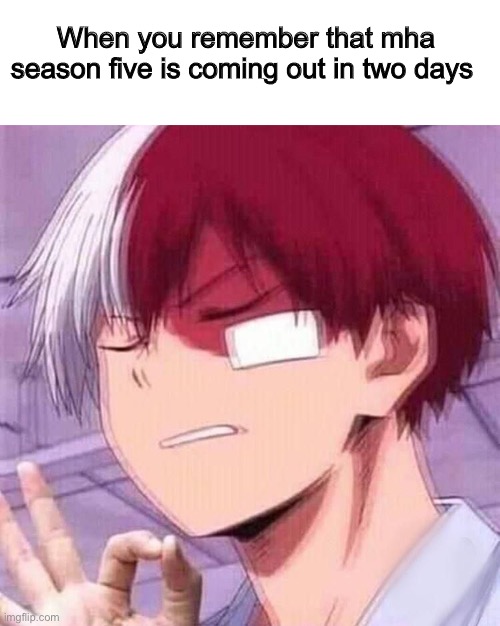 Two days..... | When you remember that mha season five is coming out in two days | image tagged in todoroki,mha,my hero academia | made w/ Imgflip meme maker