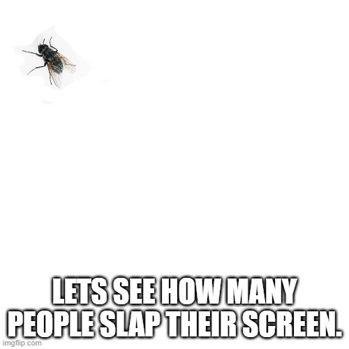 White | LETS SEE HOW MANY PEOPLE SLAP THEIR SCREEN. | image tagged in memes,white,prank | made w/ Imgflip meme maker