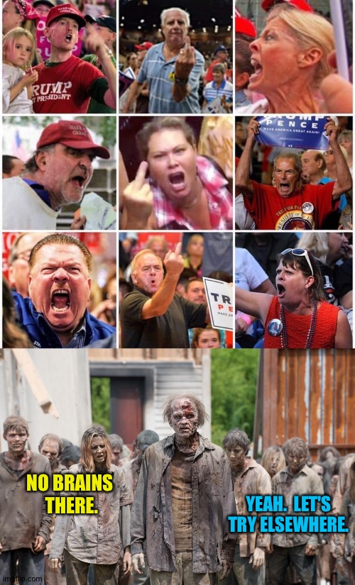 NO BRAINS 
THERE. YEAH.  LET'S

TRY ELSEWHERE. | image tagged in triggered trump supporters,zombies | made w/ Imgflip meme maker