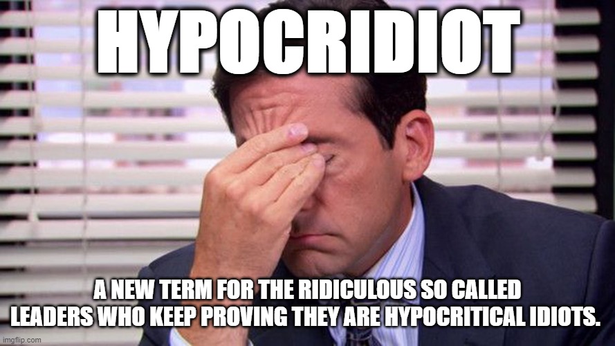 HYPOCRIDIOT | HYPOCRIDIOT; A NEW TERM FOR THE RIDICULOUS SO CALLED LEADERS WHO KEEP PROVING THEY ARE HYPOCRITICAL IDIOTS. | image tagged in liberal logic,congress,politicians | made w/ Imgflip meme maker