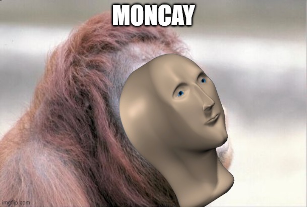 he is mutating | MONCAY | image tagged in memes,monkey ooh,meme man,mutant | made w/ Imgflip meme maker