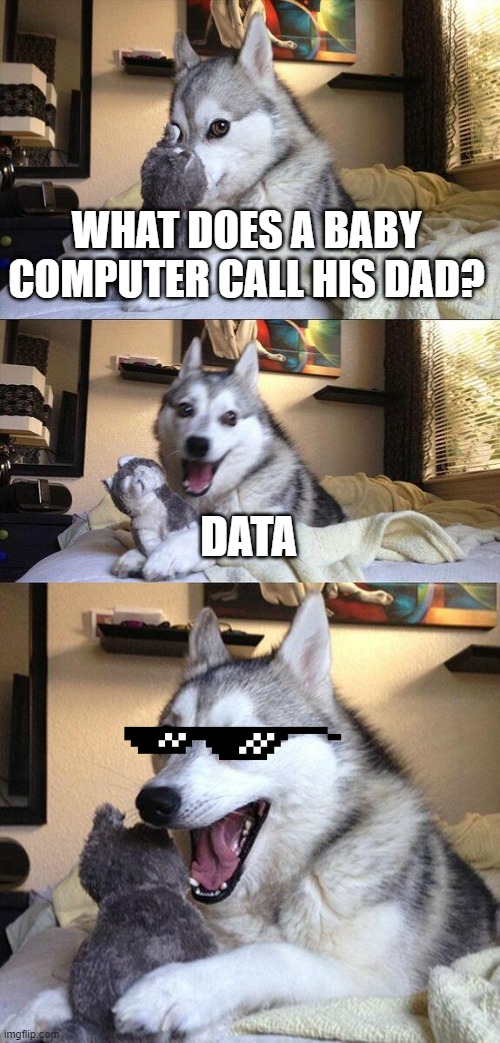 a very bad joke (I searched it up from the internet) | WHAT DOES A BABY COMPUTER CALL HIS DAD? DATA | image tagged in memes,bad pun dog | made w/ Imgflip meme maker