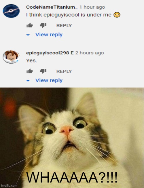 Scared Cat Meme | WHAAAAA?!!! | image tagged in memes,scared cat,youtube comments | made w/ Imgflip meme maker