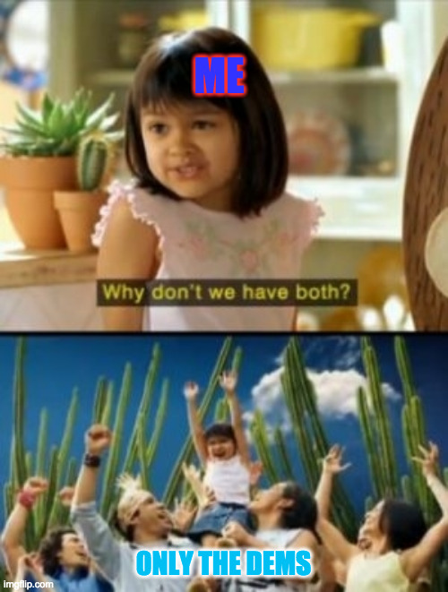 Why Not Both Meme | ME 0NLY THE DEMS | image tagged in memes,why not both | made w/ Imgflip meme maker