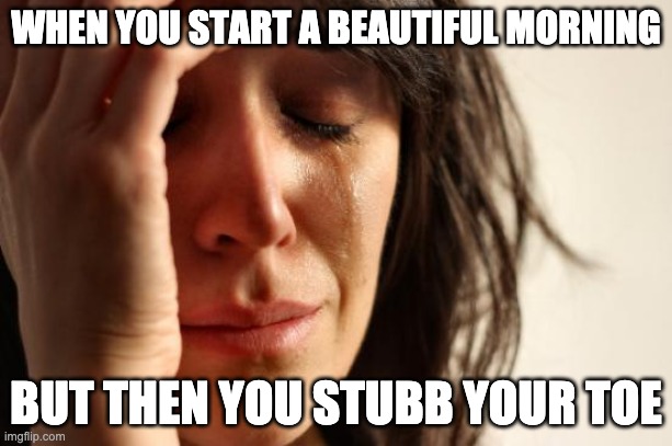 its been long since i stubbed my toe :D | WHEN YOU START A BEAUTIFUL MORNING; BUT THEN YOU STUBB YOUR TOE | image tagged in memes,first world problems | made w/ Imgflip meme maker