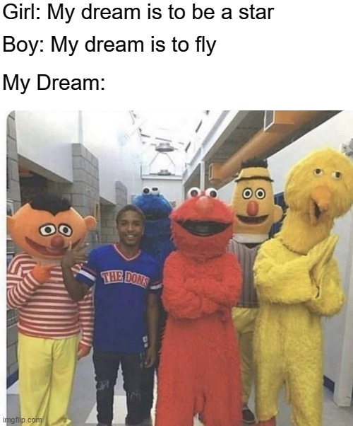 Best.Dream.Ever. | Girl: My dream is to be a star; Boy: My dream is to fly; My Dream: | image tagged in elmo,funny,meme,stop reading the tags,stop now | made w/ Imgflip meme maker