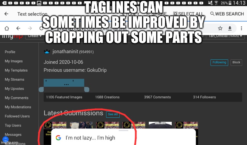 I did a funny | TAGLINES CAN SOMETIMES BE IMPROVED BY CROPPING OUT SOME PARTS | made w/ Imgflip meme maker