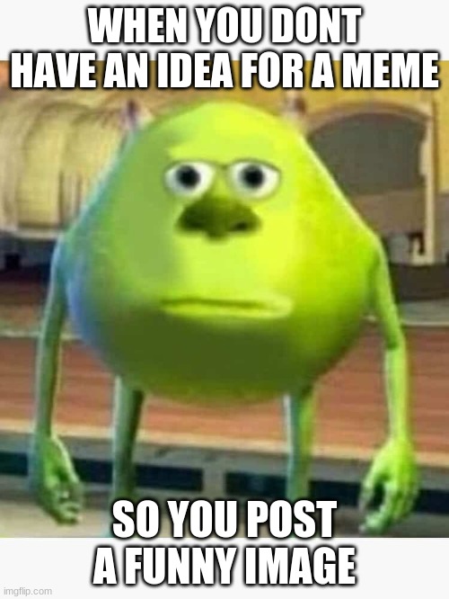 no idea | WHEN YOU DONT HAVE AN IDEA FOR A MEME; SO YOU POST A FUNNY IMAGE | image tagged in mike wazowski face swap | made w/ Imgflip meme maker