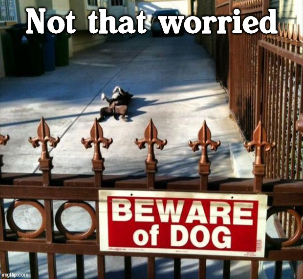 Not that worried | image tagged in dogs | made w/ Imgflip meme maker