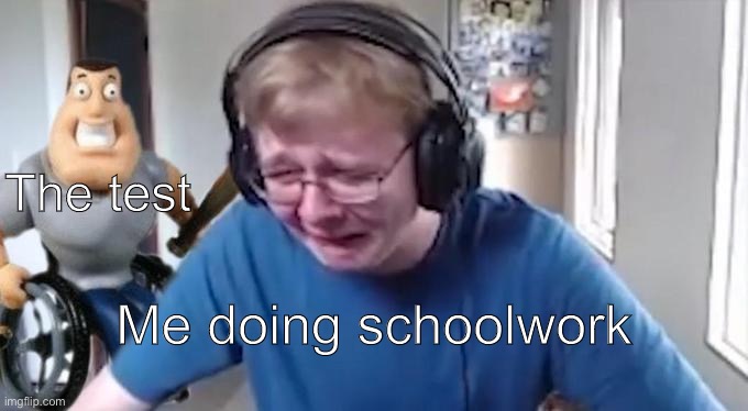 CallMeCarson Crying Next to Joe Swanson | The test; Me doing schoolwork | image tagged in callmecarson crying next to joe swanson | made w/ Imgflip meme maker