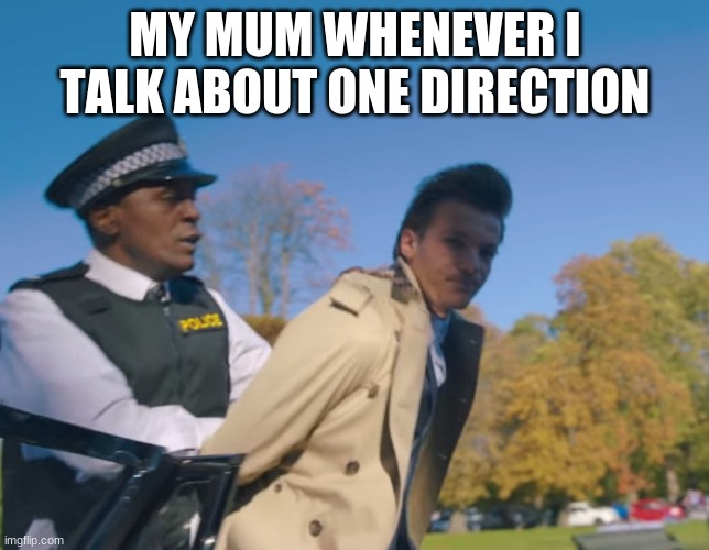 Louis Tomlinson Arrested | MY MUM WHENEVER I TALK ABOUT ONE DIRECTION | image tagged in louis tomlinson arrested | made w/ Imgflip meme maker
