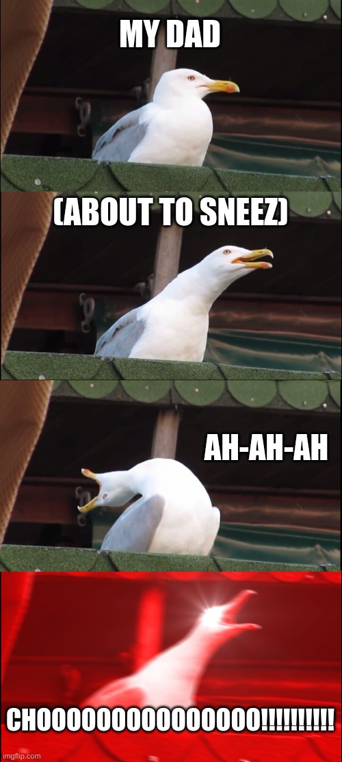 Inhaling Seagull Meme | MY DAD; (ABOUT TO SNEEZ); AH-AH-AH; CHOOOOOOOOOOOOOOO!!!!!!!!!! | image tagged in memes,inhaling seagull | made w/ Imgflip meme maker