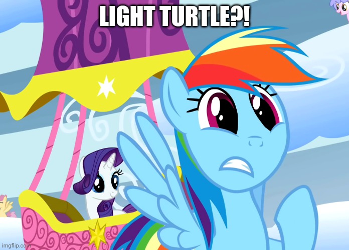 LIGHT TURTLE?! | made w/ Imgflip meme maker