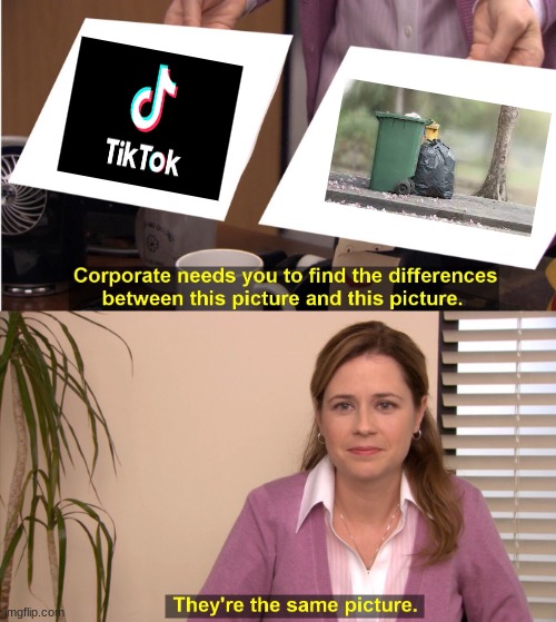 TikTok vs Garbage | image tagged in memes,they're the same picture | made w/ Imgflip meme maker