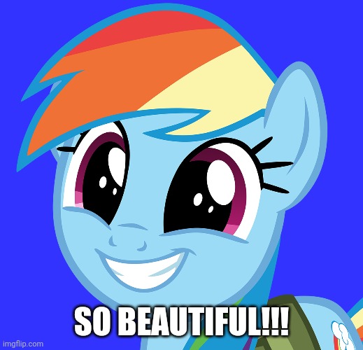 SO BEAUTIFUL!!! | made w/ Imgflip meme maker