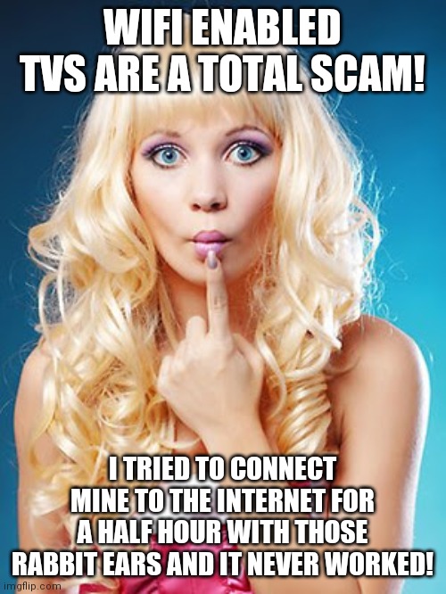 Dumb blonde | WIFI ENABLED TVS ARE A TOTAL SCAM! I TRIED TO CONNECT MINE TO THE INTERNET FOR A HALF HOUR WITH THOSE RABBIT EARS AND IT NEVER WORKED! | image tagged in dumb blonde | made w/ Imgflip meme maker