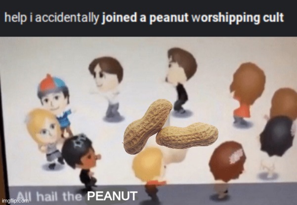 worship the peanut god!!! | PEANUT | image tagged in all hail the garlic,help i accidentally,memes | made w/ Imgflip meme maker