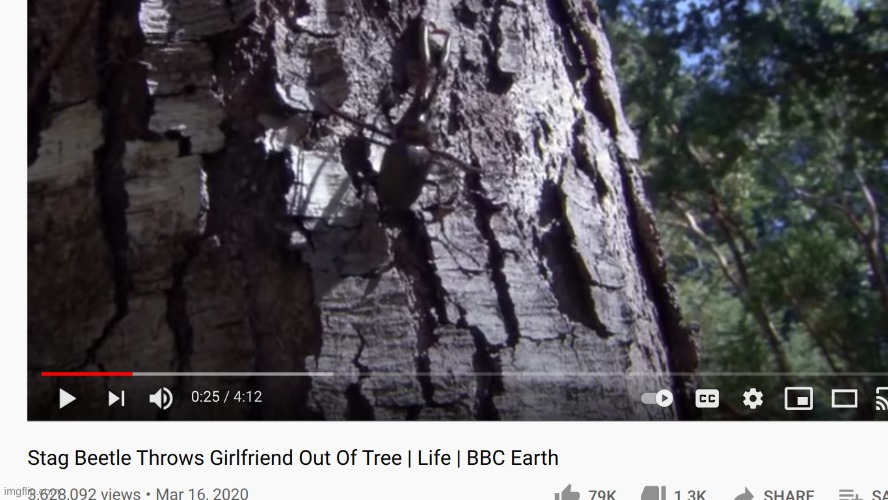 *died from laughter* | made w/ Imgflip meme maker