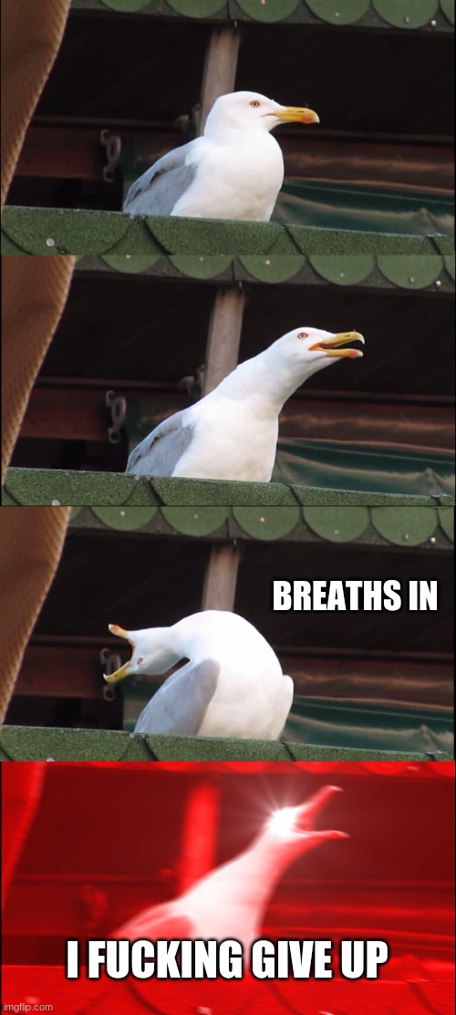 me in my life | BREATHS IN I FUCKING GIVE UP | image tagged in memes,inhaling seagull | made w/ Imgflip meme maker