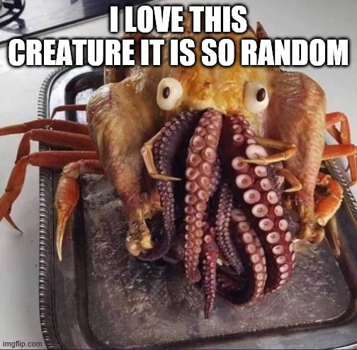 I LOVE THIS CREATURE IT IS SO RANDOM | made w/ Imgflip meme maker