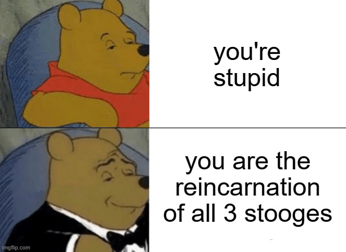 Tuxedo Winnie The Pooh Meme | you're stupid; you are the reincarnation of all 3 stooges | image tagged in memes,tuxedo winnie the pooh,i'm 15 so don't try it,who reads these | made w/ Imgflip meme maker