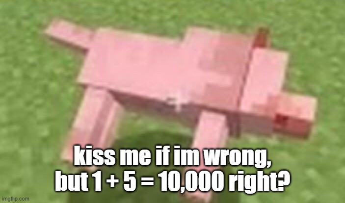 minecraft dog dying | kiss me if im wrong, but 1 + 5 = 10,000 right? | image tagged in minecraft dog dying | made w/ Imgflip meme maker