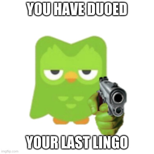 Duolingo | YOU HAVE DUOED; YOUR LAST LINGO | image tagged in duolingo | made w/ Imgflip meme maker