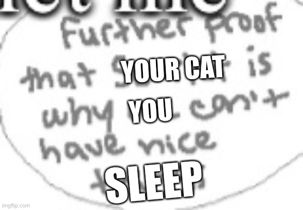 YOUR CAT YOU SLEEP | made w/ Imgflip meme maker