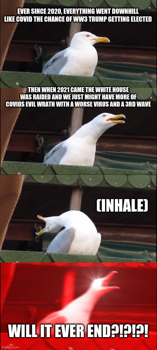 Inhaling Seagull | EVER SINCE 2020, EVERYTHING WENT DOWNHILL LIKE COVID THE CHANCE OF WW3 TRUMP GETTING ELECTED; THEN WHEN 2021 CAME THE WHITE HOUSE WAS RAIDED AND WE JUST MIGHT HAVE MORE OF COVIDS EVIL WRATH WITH A WORSE VIRUS AND A 3RD WAVE; (INHALE); WILL IT EVER END?!?!?! | image tagged in memes,inhaling seagull | made w/ Imgflip meme maker