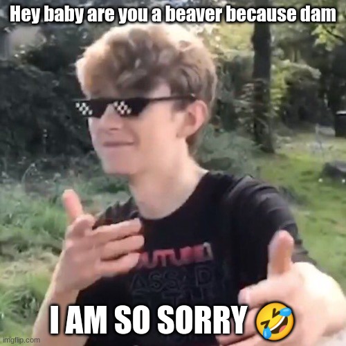 Tommyinnit | Hey baby are you a beaver because dam; I AM SO SORRY 🤣 | image tagged in tommyinnit | made w/ Imgflip meme maker