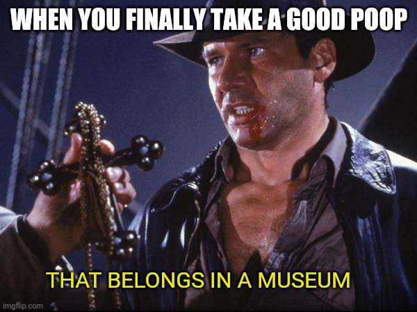 I pooped today! | WHEN YOU FINALLY TAKE A GOOD POOP; THAT BELONGS IN A MUSEUM | image tagged in museum,poop,helth | made w/ Imgflip meme maker