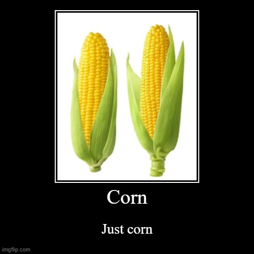 Corn | image tagged in demotivationals,corn,many many corn,just corn | made w/ Imgflip demotivational maker