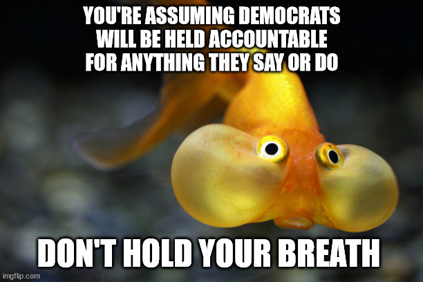 hold your breath goldfish | YOU'RE ASSUMING DEMOCRATS
 WILL BE HELD ACCOUNTABLE 
FOR ANYTHING THEY SAY OR DO DON'T HOLD YOUR BREATH | image tagged in hold your breath goldfish | made w/ Imgflip meme maker