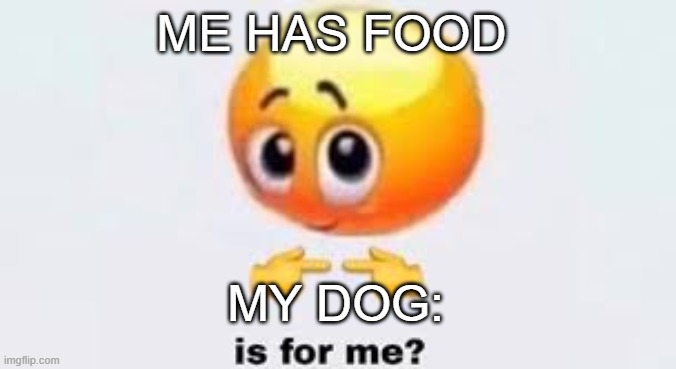 Is for me | ME HAS FOOD; MY DOG: | image tagged in is for me | made w/ Imgflip meme maker
