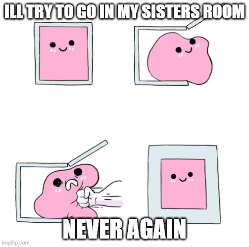 my sister be like | ILL TRY TO GO IN MY SISTERS ROOM; NEVER AGAIN | image tagged in never again | made w/ Imgflip meme maker