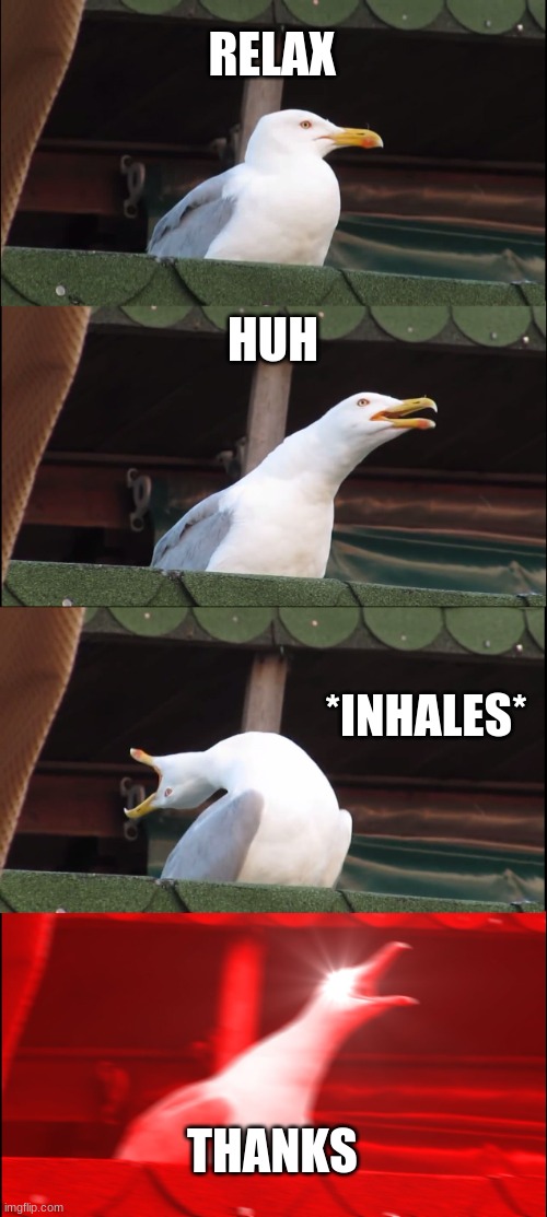 RELAX HUH *INHALES* THANKS | image tagged in memes,inhaling seagull | made w/ Imgflip meme maker