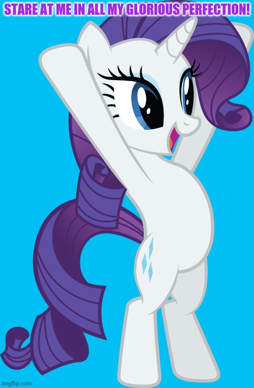 Rarity has high self esteem! | STARE AT ME IN ALL MY GLORIOUS PERFECTION! | image tagged in rarity,my little pony,ponies | made w/ Imgflip meme maker