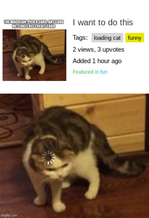 ????? | image tagged in loading cat | made w/ Imgflip meme maker