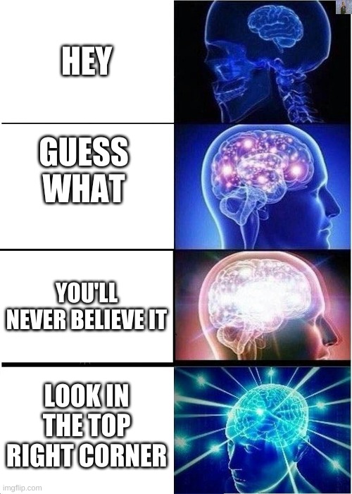 Expanding Brain Meme | HEY; GUESS WHAT; YOU'LL NEVER BELIEVE IT; LOOK IN THE TOP RIGHT CORNER | image tagged in memes,expanding brain | made w/ Imgflip meme maker