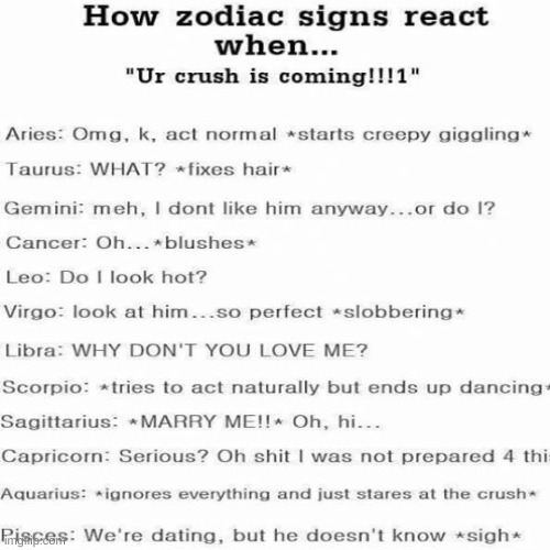 comment and let me know if it's true | image tagged in zodiac,sign | made w/ Imgflip meme maker