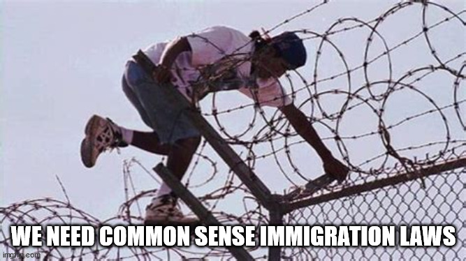Immigration | WE NEED COMMON SENSE IMMIGRATION LAWS | image tagged in common sense | made w/ Imgflip meme maker