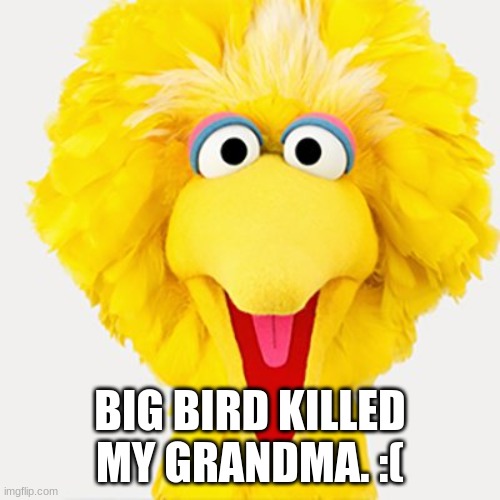 shes dead :( | BIG BIRD KILLED MY GRANDMA. :( | image tagged in big bird,grandma | made w/ Imgflip meme maker
