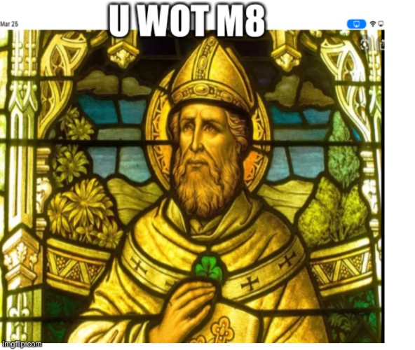 I | image tagged in u wot m8 st patrick | made w/ Imgflip meme maker